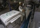 بیش از ۶۱۸هزار تن شکر از نیشکر در خوزستان تولید شد