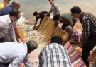 ۱۳۰ هزار بچه ماهی در خرمشهر رهاسازی شد