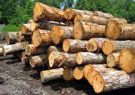 دستگیری سوداگران درختان جنگلی دز