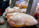 ورود مرغ‌های منجمد ترکیه‌ای برای تنظیم بازار اهواز