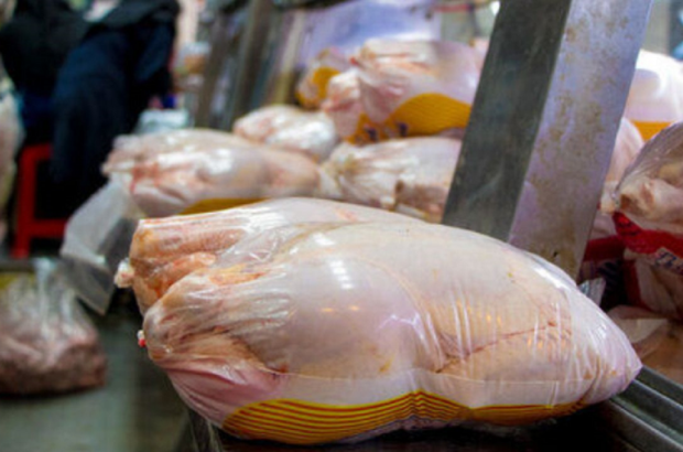 کشتارگاه‌ها در افزایش قیمت مرغ در خوزستان نقش دارند