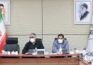 برگزاری نخستین جلسه کمیته در آمدی با حضور سر پرست جدید شهرداری اهواز