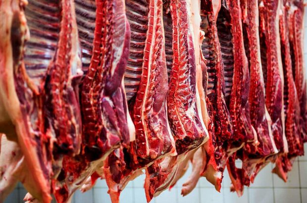 قیمت گوشت قرمز مشخص شد/ مشکلی جدید؛ افزایش دام لاغر در دامداری ها!