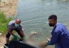 کشف جسد ۲ مرد در کانال آب سلمان فارسی اهواز