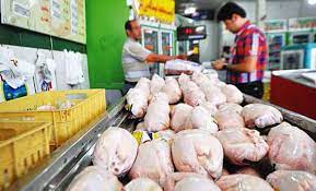 تعامل فروشگاه های زنجیره ای با سازمان جهاد کشاورزی خوزستان برای توزیع مرغ کشتار روز