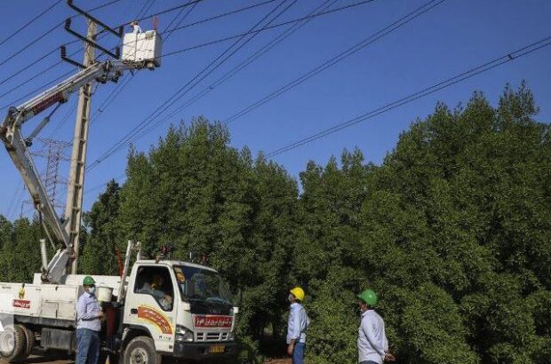 ۳۷هزار اصله درخت متداخل در شبکه برق اهواز هرس شد