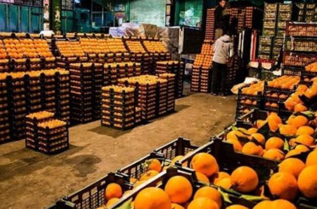 اختصاص بیش از ۷۰۰ تن میوه نوروزی به شهرستان اهواز