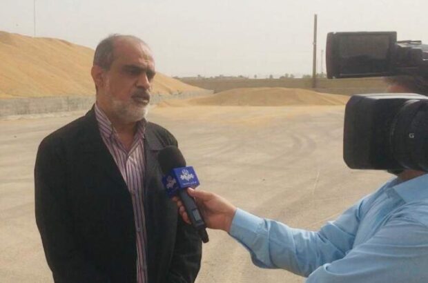خرید گندم و کلزا خوزستان از ۴۵ هزار تن فراتر رفت