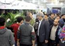 چهارمین نمایشگاه گل و گیاه همزمان با نمایشگاه بزرگ صنایع دستی در اهواز افتتاح شد